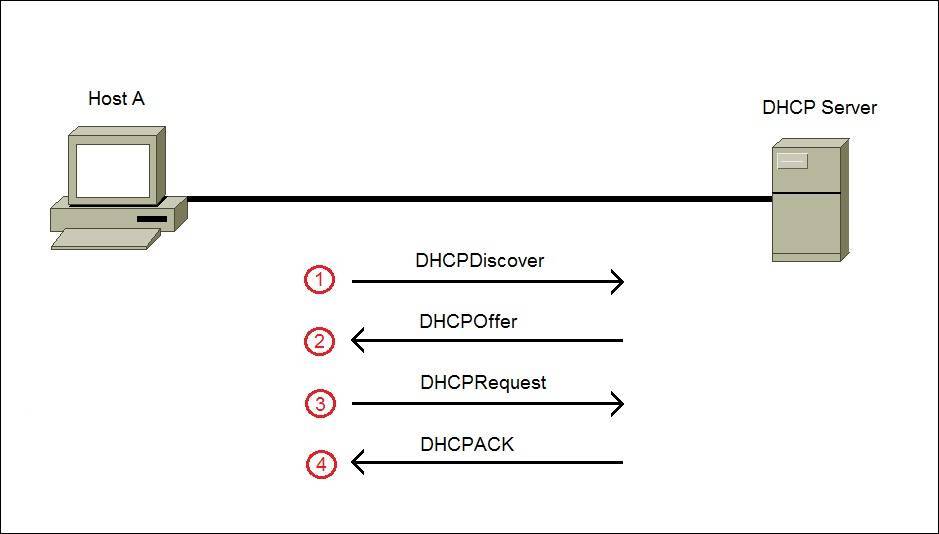 how dhcp works