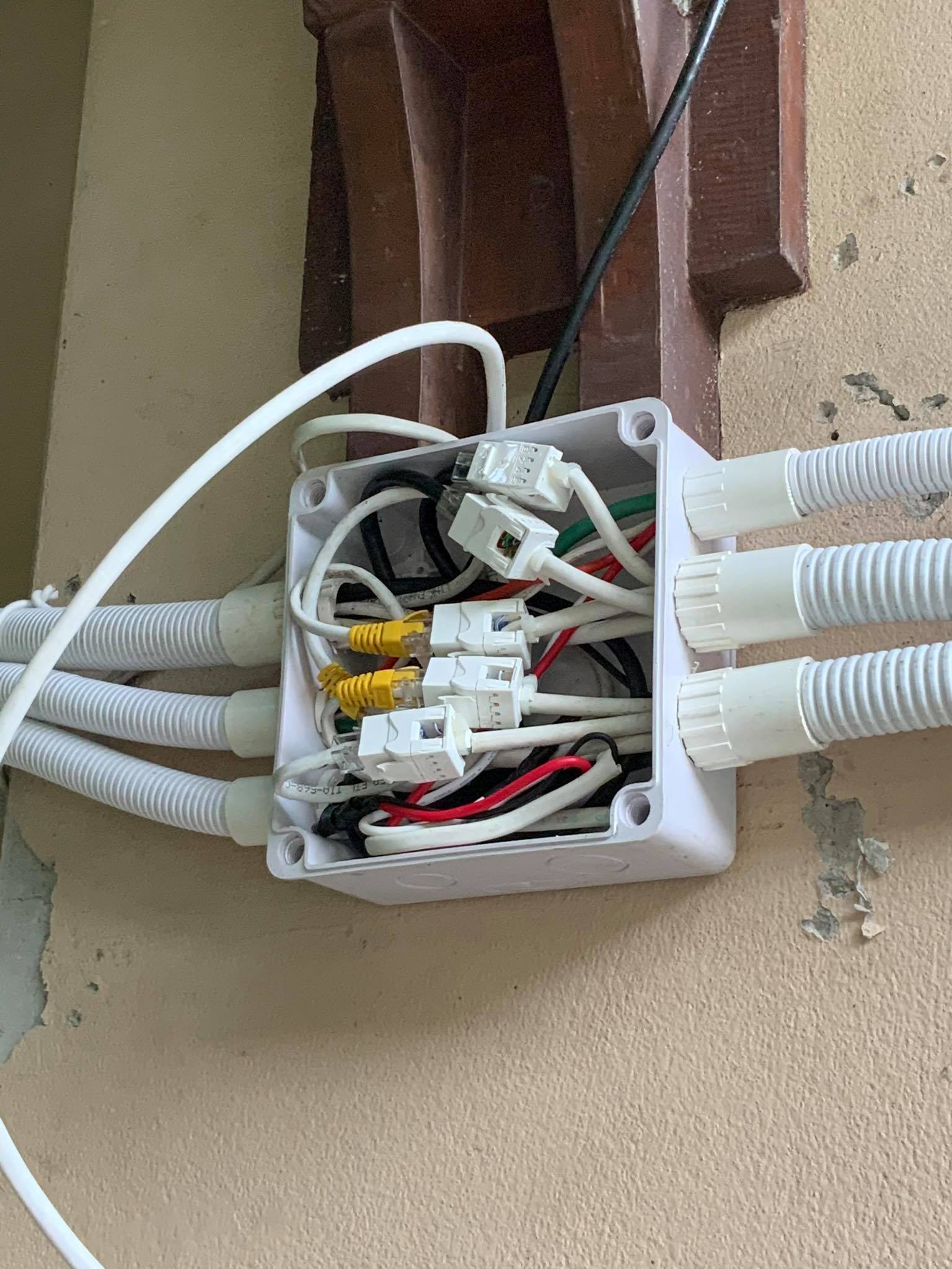 107675857 10163858765310524 1992354559938862142 o